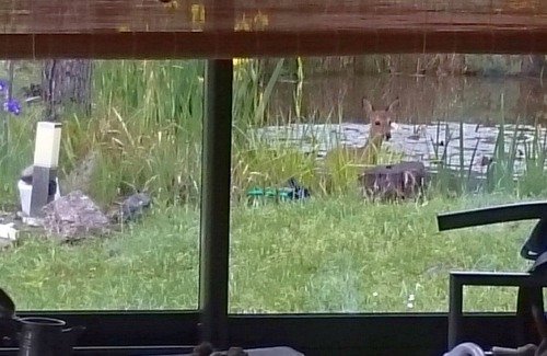 Gilhac-et-Bruzac Apartamento | , Tranquilidad absoluta con niños, bella vista, se admiten animales