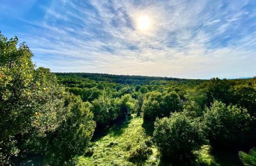 Donji Zagon Apartamento | Family-friendly apartments with swimming pool Donji Zagon, Novi Vinodolski - 24555