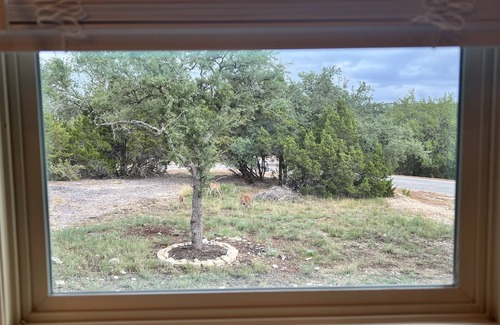 Fischer Casa | Family Friendly!Beautiful Cozy Home!- Fire Pit