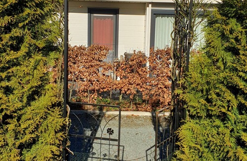 Wolfheze Chalet De Esquí | Chalet familiar en Veluwe, Gelderland, Wolfheze