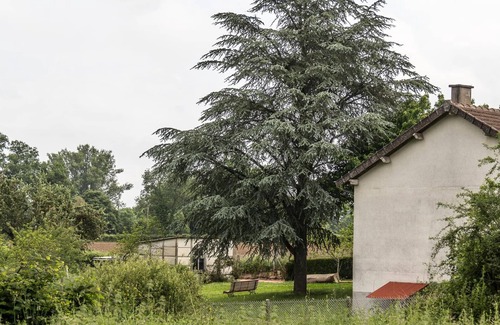 Mazirat Cabaña | Casa acogedora con jardín cerrado, mesa de ping-pong y cerca de estaciones termales