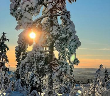 Trysil Casa | Family-Friendly Log Cabin With Panoramic View