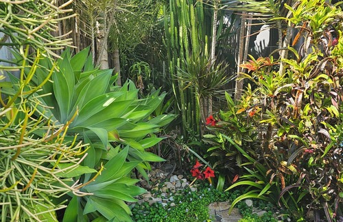 North Creek Casa | Family friendly retreat 5 minutes stroll to the beach!