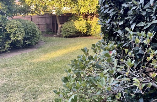 Montecito Casa | Family Friendly with AC and only 5 minutes to the beach!