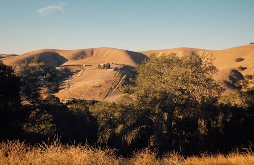 Templeton Casa | Family Getaway, Paso wineries, Hot Tub, Dogs!