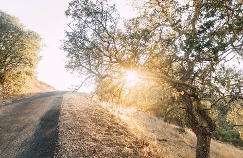 Templeton Casa | Family Getaway, Paso wineries, Hot Tub, Dogs!