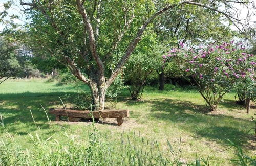 Pruniers-en-Sologne Casa | Family gîte in the countryside, near Beauval Zoo and the Loire castles!