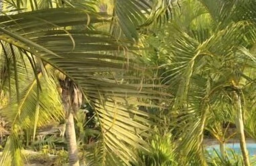 Tamarin Casa | Family home in Tamarin