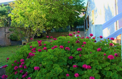 Figarella Casa | Casa familiar con jardín a 200m de la playa.
