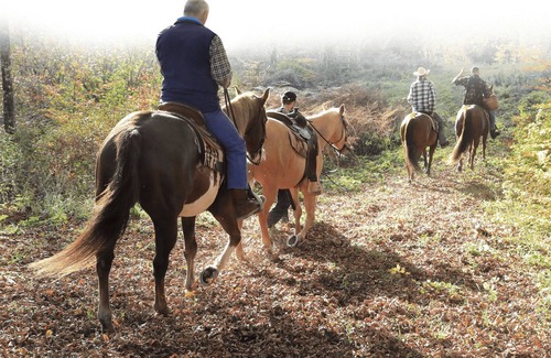 Kocevska Reka Casa | Familia y mascotas en Ranch Marina con caballos