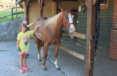 Kocevska Reka Casa | Familia y mascotas en Ranch Marina con caballos