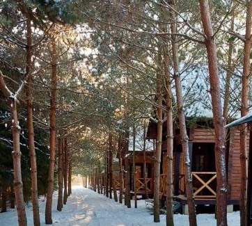 Mostyska Casa | Family Resort