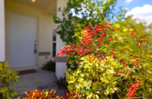 Burnt Store Casa | Family vacation, heated pool, wake up to enjoy the sunrise - Villa Pine Island