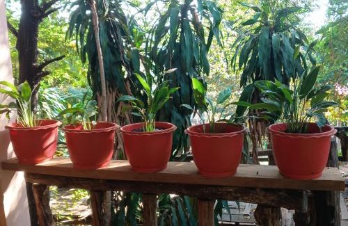 Ban Lung Casa | FamilyHouse & Trekking