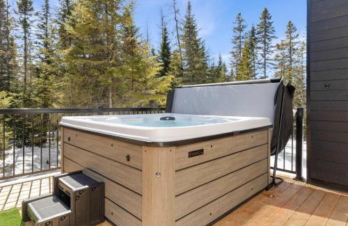 Shannon Chalet De Esquí | Famylia Spa Billard Foyer Dart Babyfoot