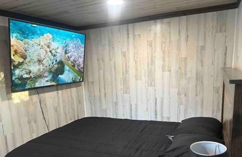 Azle Cabina | Fancy country cabin, POOL with covered deck, kayaks! near everything! 1 gig WiFi