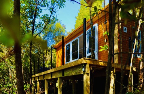 Wainui Chalet De Esquí | Fantail Bush Chalet, arbusto y golf a la vuelta de la esquina.