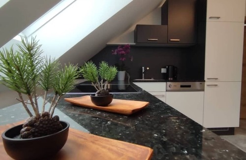 Mauterndorf Apartamento | Fantastic luxury apartment in Salzburg's ski paradise
