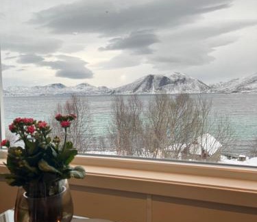 Tromvik Casa | Fantastic view, quiet and relaxing by the sea