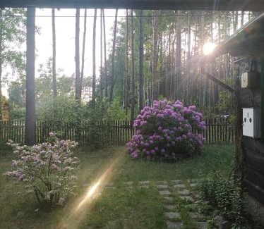 Dlugosiodlo Casa | Fantastyczny domek w lesie