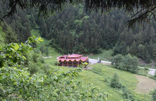 Uzungol Hotel | Faraksi Bungalow & Otel