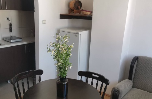Donji Milanovac Apartamento | FARIS is a bright centrally located apartment with nice danube and city view