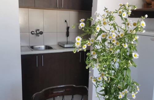 Donji Milanovac Apartamento | FARIS is a bright centrally located apartment with nice danube and city view