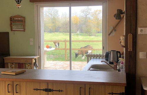 Dissay-sous-Courcillon Casa | Farm cottage with fireplace on the banks of the river Loir