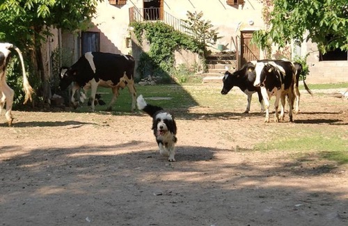 Vaureilles Cabaña | Casa rural en actividad