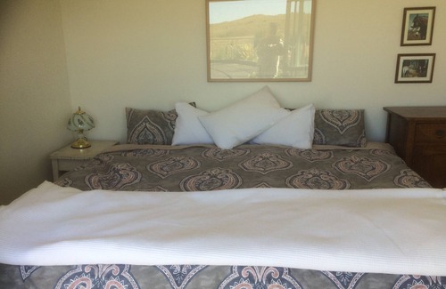 Te Horo Otro | Farm stay in peaceful rural setting at equestrian centre.