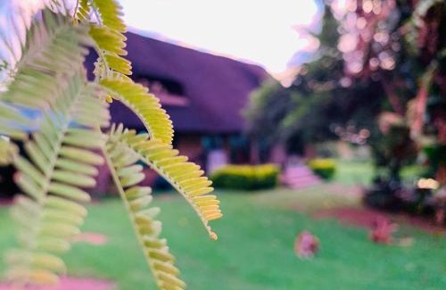 Madibeng Cama Y Desayuno | Farm Vibes Guest House