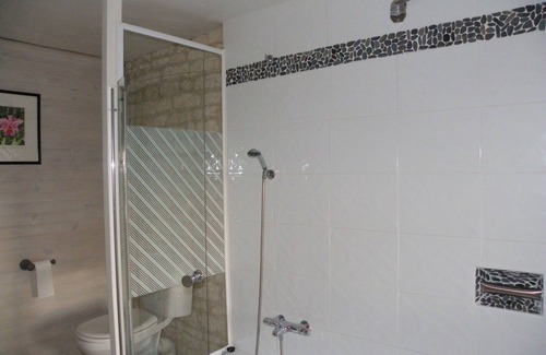 Sainte-Gemme-la-Plaine Otro | Casa rural 11 personas con piscina privada 10m