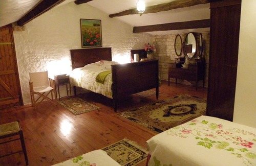 Sainte-Gemme-la-Plaine Otro | Casa rural 11 personas con piscina privada 10m
