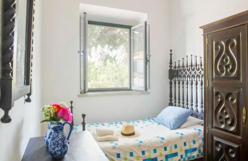 Montemor-o-Novo Casa | Farmhouse Dreams Explore and Relax