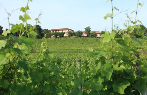 Buttrio Otro | Farmhouse surrounded by vineyards