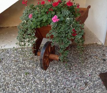 Povoletto Casa | Farmstay Alloggio Cort di Branc