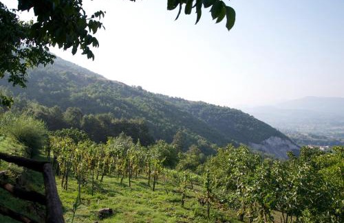 Padula Casa | Fattoria Alvaneta