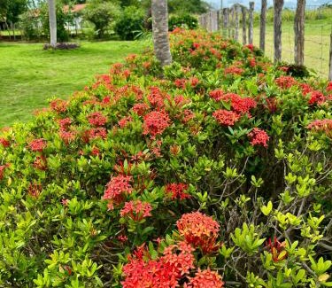 Campo Maior Casa | Fazenda Aprazível