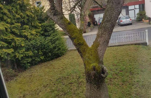 Fulda Apartamento | sentirse bien domicilio