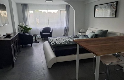 Boppelsen Apartamento | Feel-good place - freshly renovated - quiet location - 20min from Zurich main station