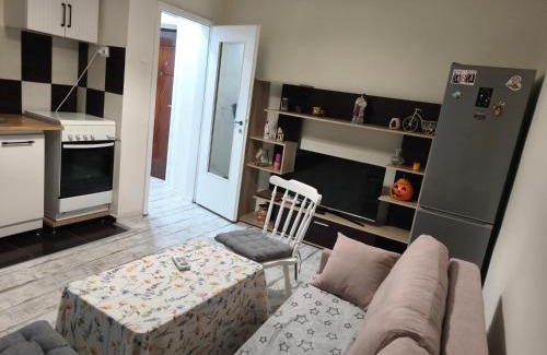 Emanoil Gojdu Apartamento | Feels like home