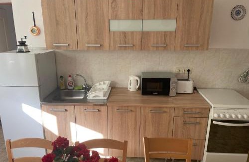 Kovacsszenaja Apartamento | Fehér Bagoly Vendégház