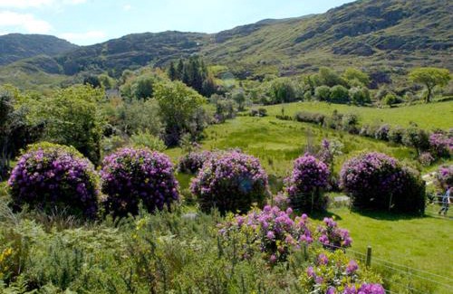 Lauragh Casa | Fehanaugh Cottage