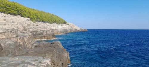 Mljet Apartamento | Feliks-Studio with balcony