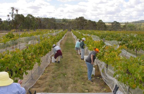 Ballandean Casa | Fergies Hill Spa Cottage @ Granite Ridge Wines