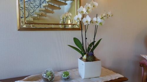 Rachtig Apartamento | Ferien Apartment Melcher