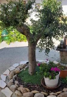Wundschuh Apartamento | Ferien Cottage