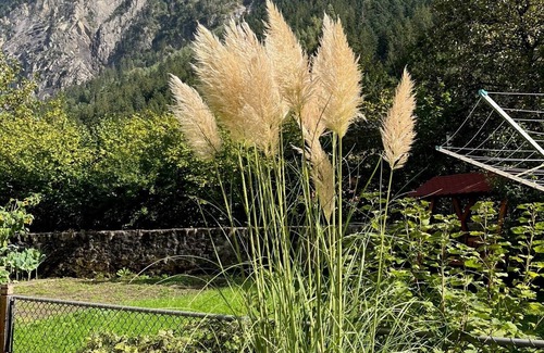 Gurtnellen Apartamento | Ferien Nahe Andermatt - Zentralschweiz - Gurtnellen 2.5 Zi. für max 4 Personen