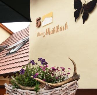 Uetzing Apartamento | Ferienappartement Balik