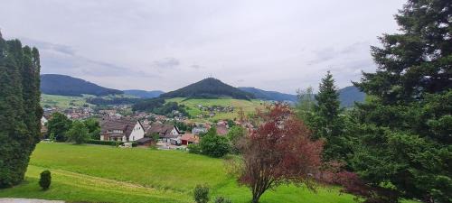 Baiersbronn Apartamento | Ferienappartement in Black Forest